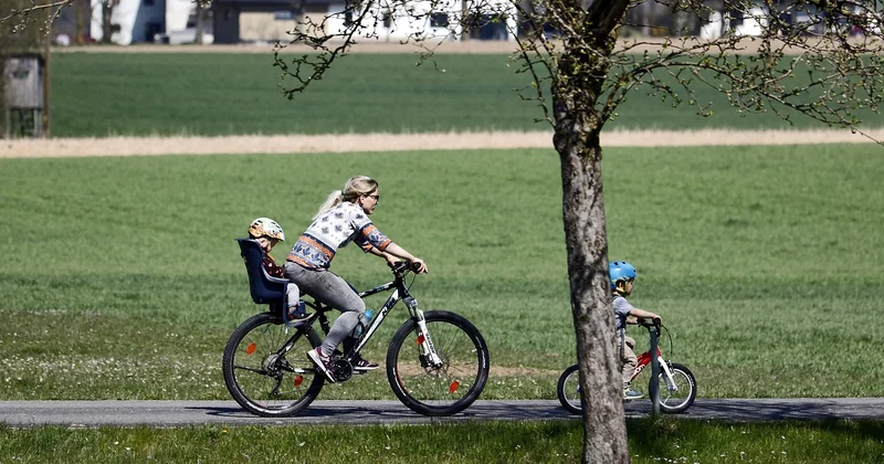 Vélo, âne, accrobranche : les activités encadrées